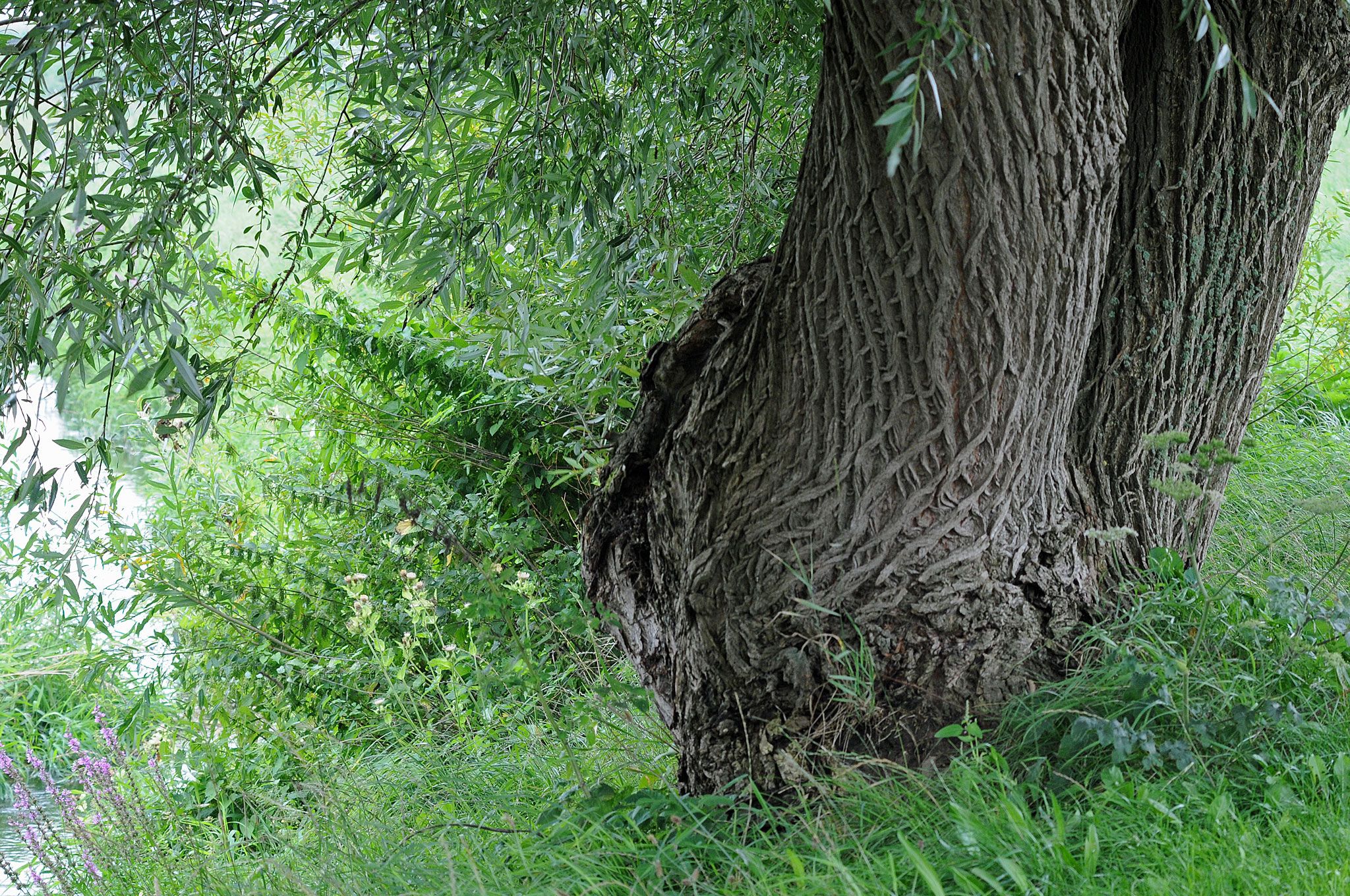 Overzicht van de diensten van In Beginsel | Ergotherapie